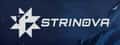 Strinova header image