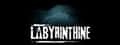 Labyrinthine header image
