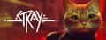 Stray header image