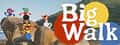 Big Walk header image