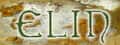 Elin header image
