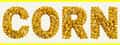 CORN header image