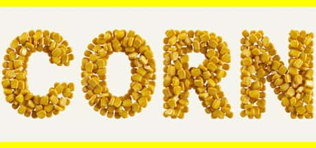 CORN Steam header image